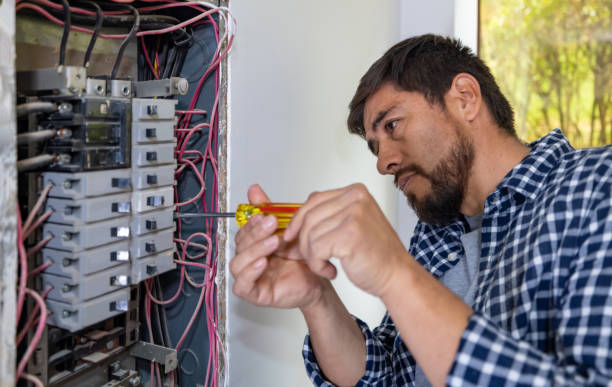 Best Electric Panel Repair  in Emporia, VA